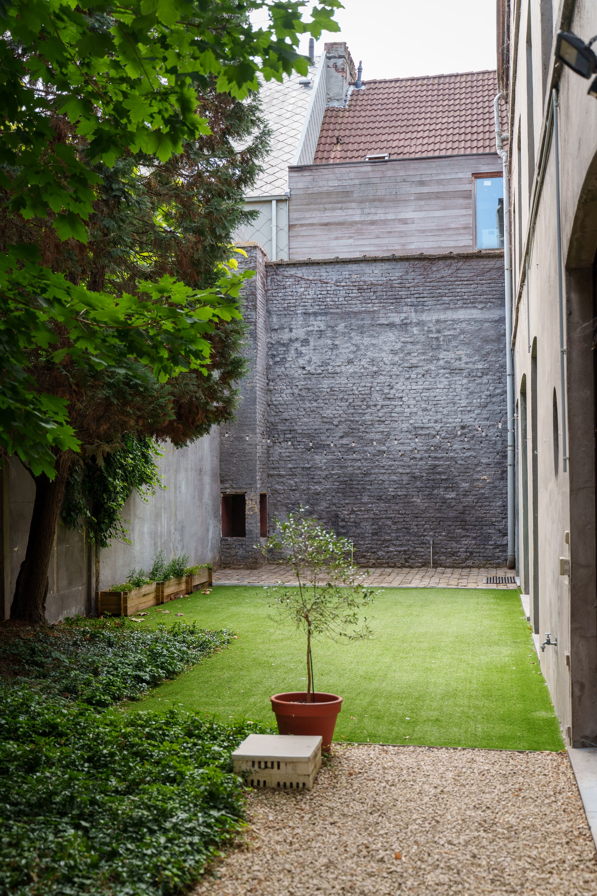 Rustige tuin met olijfboom achter de praktijk